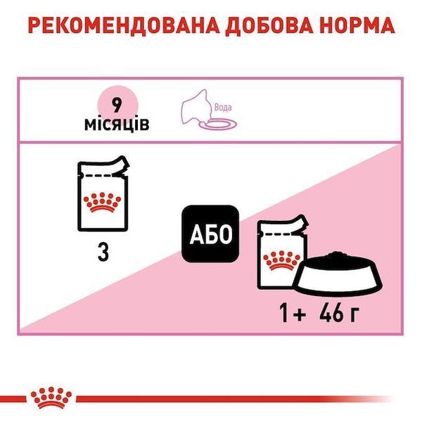Kitten Sterilised Gravy (до 12 місяців). Упаковка 12шт*85г 1071001 фото