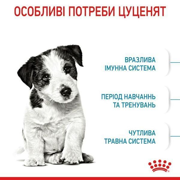 Mini Puppy (від 2 до 10 місяців) 30000082 фото