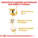 Labrador Retriever Adult. Лабрадор-ретривер віком від 15 місяців  2487120 фото 3