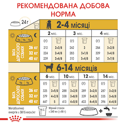 Labrador Retriever Puppy. Лабрадор-ретривер від 2 до 15 місяців 24910301 фото