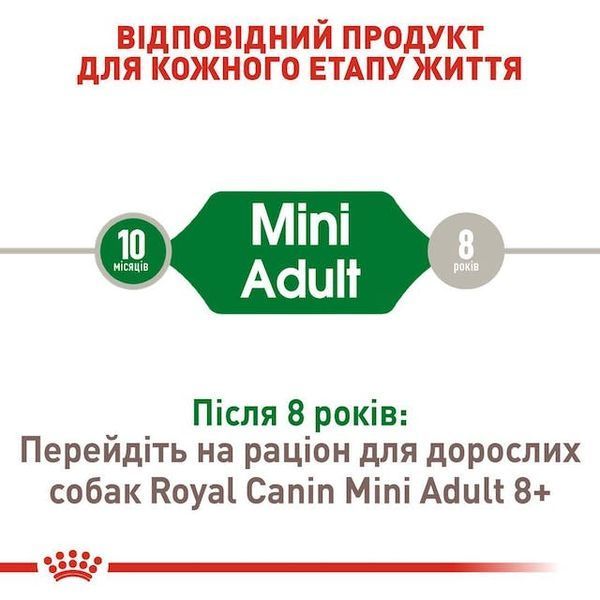Mini Adult (від 10 місяців до 8 років)  3001008 фото
