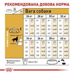 Golden Retriever Adult. Золотистий ретривер віком від 15 місяців  3970120 фото