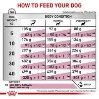Renal Canine - дієтичний сухий корм для лікування ниркової недостатності у собак 39160209 фото