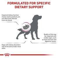 Renal Canine - дієтичний сухий корм для лікування ниркової недостатності у собак 39160209 фото