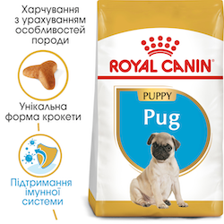 PUG PUPPY 41300151 фото