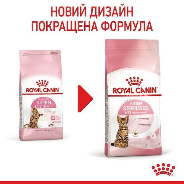 Kitten Sterilised (від 6 до 12 місяців)  2562004 фото