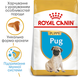 PUG PUPPY 41300151 фото 2