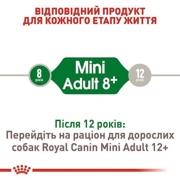 Mini Adult 8+ (від 8 до 12 років)  30020089 фото