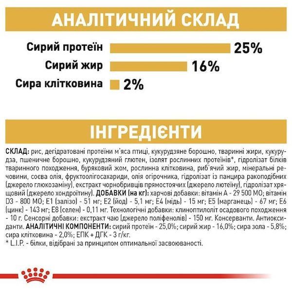 Pug Adult. Мопс віком від 10 місяців  3985015 фото