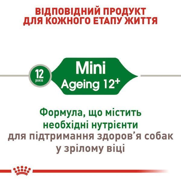 Mini Ageing 12+ (від 12 років) 1007008 фото
