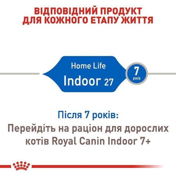 Indoor (від 12 місяців до 7 років. Проживання у приміщенні)  25290049 фото
