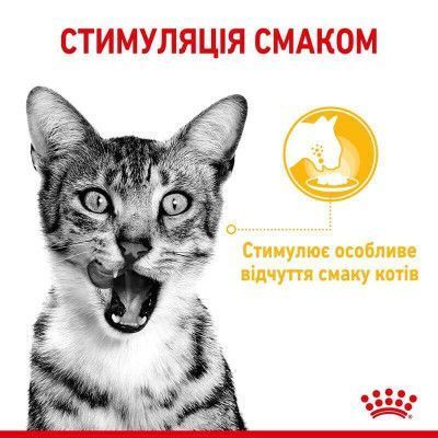 Sensory Taste in Jelly Вологий корм для дорослих котів (шматочки в желе) для стимуляції особливого відчуття смаку. Упаковка 12шт*85г  1528001 фото