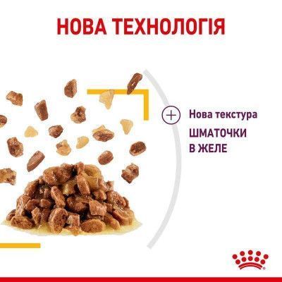 Sensory Taste in Jelly Вологий корм для дорослих котів (шматочки в желе) для стимуляції особливого відчуття смаку. Упаковка 12шт*85г  1528001 фото