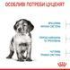 Medium Puppy (від 2 до 12 місяців)  30030101 фото 4