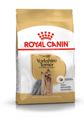 Yorkshire Terrier Adult. Йоркширський тер&rsquo;єр віком від 10 місяців  3051005 фото