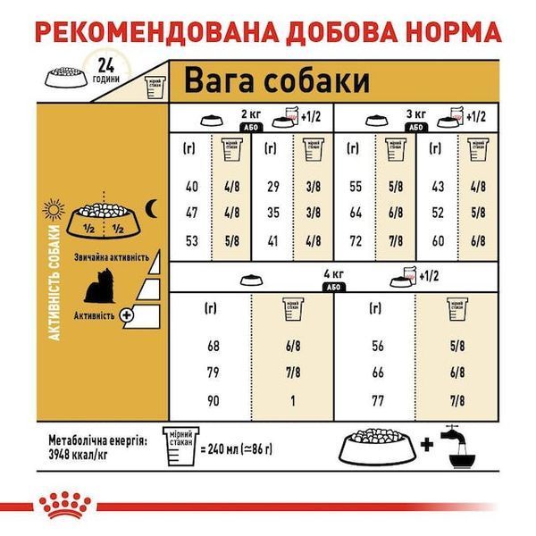 Yorkshire Terrier Adult. Йоркширський тер&rsquo;єр віком від 10 місяців  3051005 фото