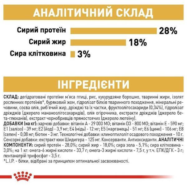 Yorkshire Terrier Adult. Йоркширський тер&rsquo;єр віком від 10 місяців  3051005 фото