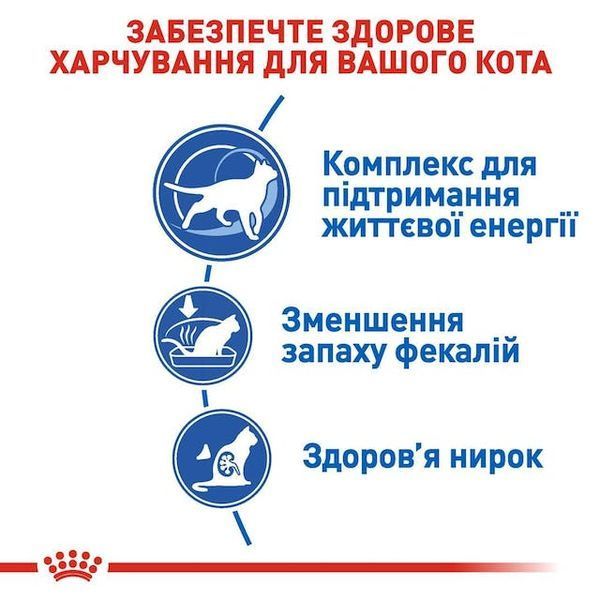 Indoor 7+ Сухий корм для дорослих котів віком від 7 до 12 років, які проживають у приміщенні 25480159 фото