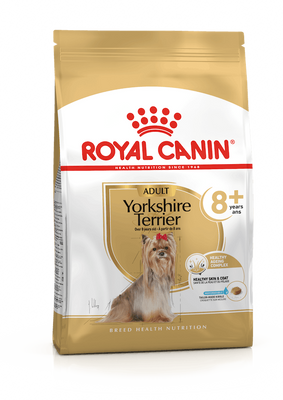 Yorkshire Terrier Ageing 8+. Йоркширський тер'єр віком старше 8 років. Yorkshire Terrier Ageing 8+. Йоркширський тер'єр віком старше 8 років. фото