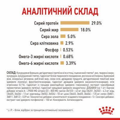 Yorkshire Terrier Ageing 8+. Йоркширський тер'єр віком старше 8 років. Yorkshire Terrier Ageing 8+. Йоркширський тер'єр віком старше 8 років. фото
