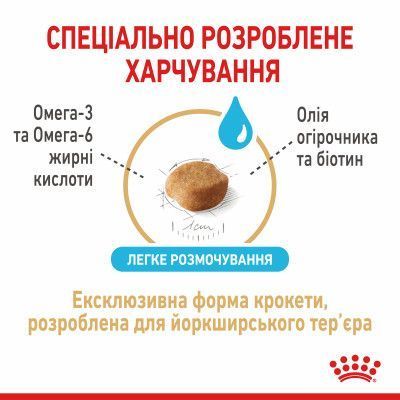 Yorkshire Terrier Ageing 8+. Йоркширський тер'єр віком старше 8 років. Yorkshire Terrier Ageing 8+. Йоркширський тер'єр віком старше 8 років. фото