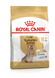 Yorkshire Terrier Ageing 8+. Йоркширський тер'єр віком старше 8 років. Yorkshire Terrier Ageing 8+. Йоркширський тер'єр віком старше 8 років. фото 1
