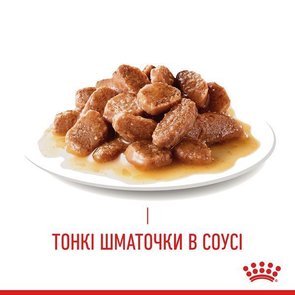 Appetite Control Care Gravy (соус). Упаковка 12шт*85г 1466001 фото