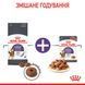 Appetite Control Care Gravy (соус). Упаковка 12шт*85г 1466001 фото 2