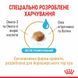 Yorkshire Terrier Ageing 8+. Йоркширський тер'єр віком старше 8 років. Yorkshire Terrier Ageing 8+. Йоркширський тер'єр віком старше 8 років. фото 5