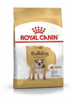 Bulldog Adult. Англійський бульдог віком від 12 місяців  2590030 фото