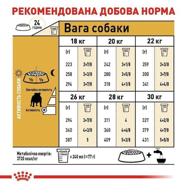 Bulldog Adult. Англійський бульдог віком від 12 місяців  2590030 фото