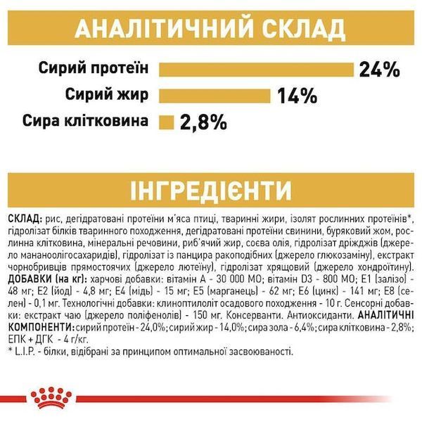 Bulldog Adult. Англійський бульдог віком від 12 місяців  2590030 фото