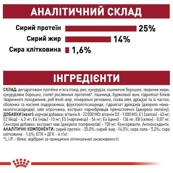Medium Adult 7+ (від 7 років) 3005040 фото
