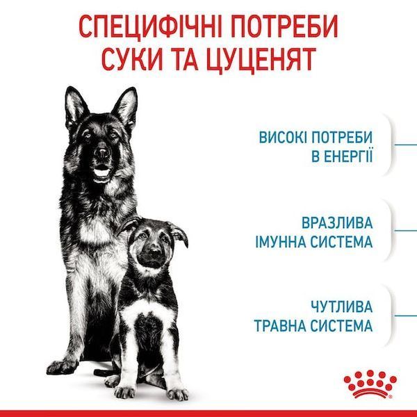 Maxi Starter (для сук великих порід в кінці вагітності та в період лактації, та для цуценят до 2 місяців)  29940400 фото