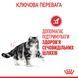 Urinary Care - сухий корм для підтримки здоров'я сечовидільної системи у котів (від 12 місяців)    фото 5