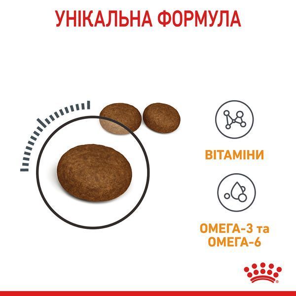 Hair & Skin Care - сухий корм підтримує еластичність шкіри та красу шерсті у котів (від 12 місяців) 2526004 фото