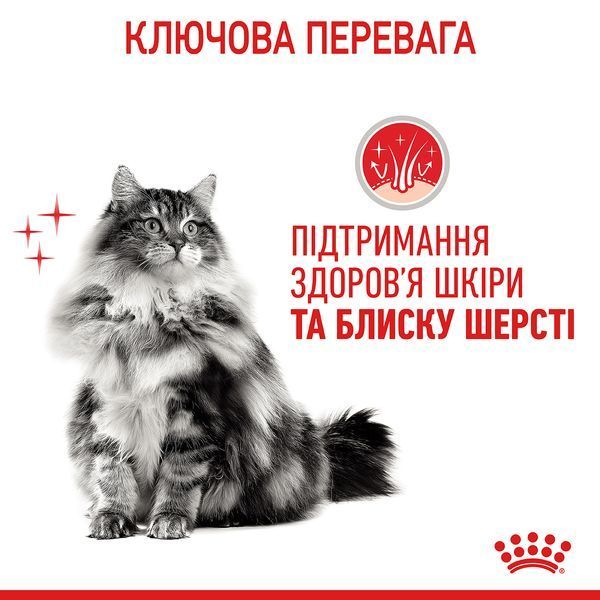 Hair & Skin Care - сухий корм підтримує еластичність шкіри та красу шерсті у котів (від 12 місяців) 2526004 фото