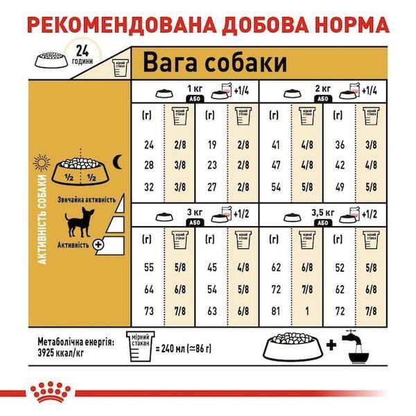 Chihuahua Adult. Чихуахуа віком від 8 місяців  2210005 фото