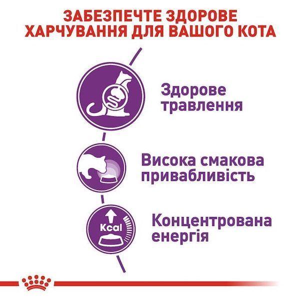Sensible 33 - сухий корм для котів з чутливою системою травлення (від 12 місяців)  2521004 фото