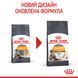Hair & Skin Care - сухий корм підтримує еластичність шкіри та красу шерсті у котів (від 12 місяців) 2526004 фото 2