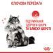 Hair & Skin Care - сухий корм підтримує еластичність шкіри та красу шерсті у котів (від 12 місяців) 2526004 фото 6