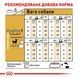 Chihuahua Adult. Чихуахуа віком від 8 місяців  2210005 фото 2