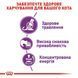Sensible 33 - сухий корм для котів з чутливою системою травлення (від 12 місяців)  2521004 фото 5