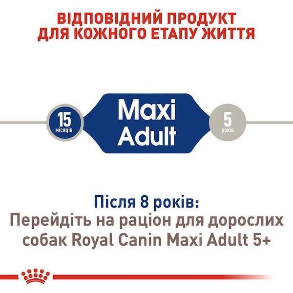 Maxi Adult (від 15 місяців)  3007040 фото