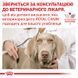 Diabetic Special LC Dog паштет 4015004 фото 5