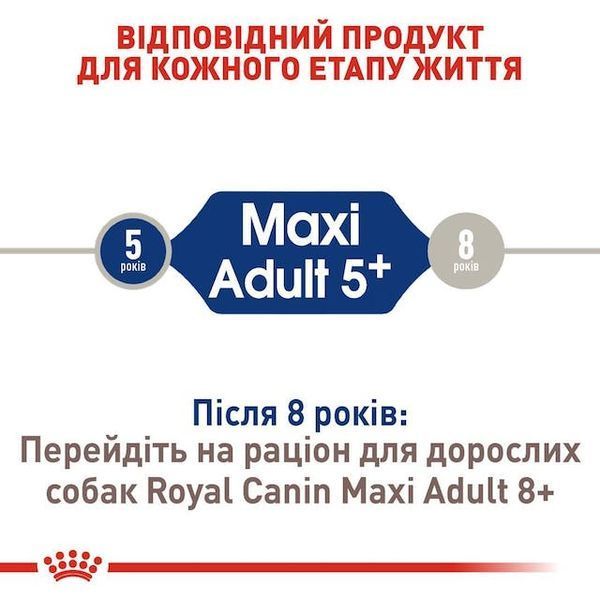 Maxi Adult 5+, від 5 років 3008150 фото