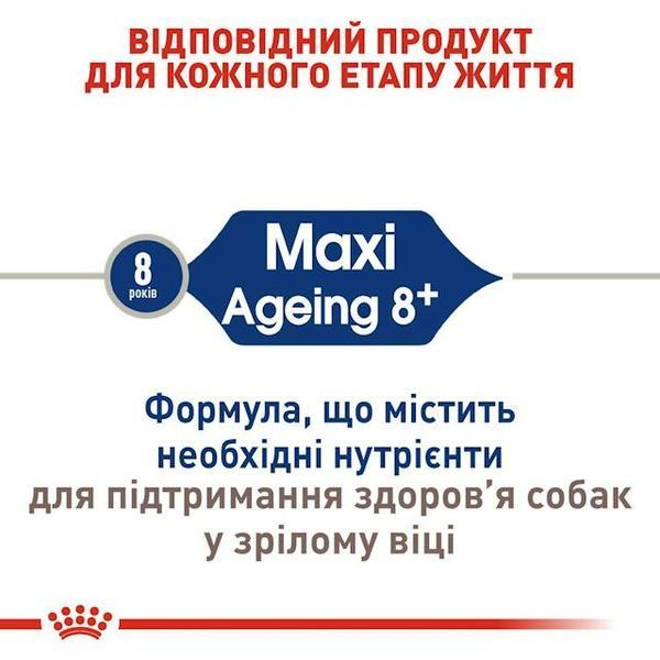 Maxi Ageing 8+, вік від 8 років 2454150 фото