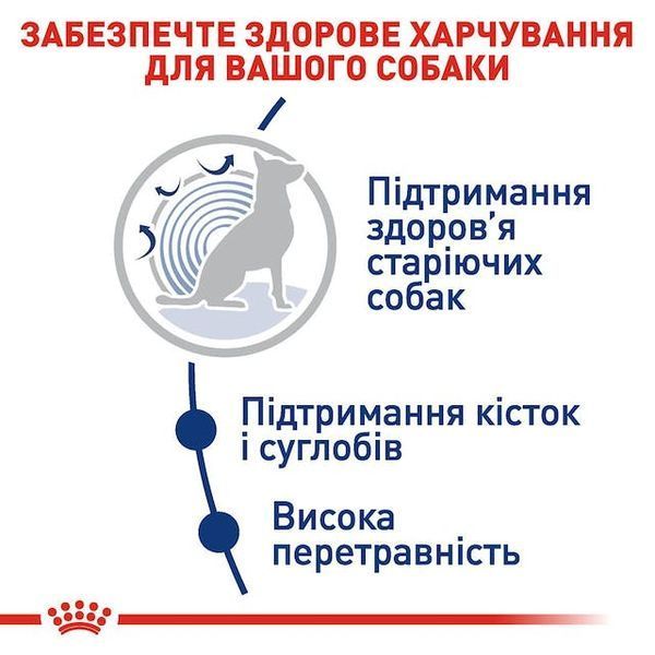 Maxi Ageing 8+, вік від 8 років 2454150 фото