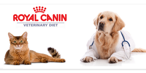 Banner from design