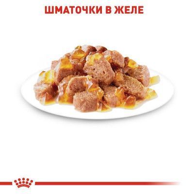 Instinctive - вологий корм у желе для котів на кожен день (від 12 місяців). Упаковка 12шт*85г 4074001 фото